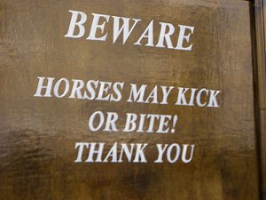 Horses may kick or bite